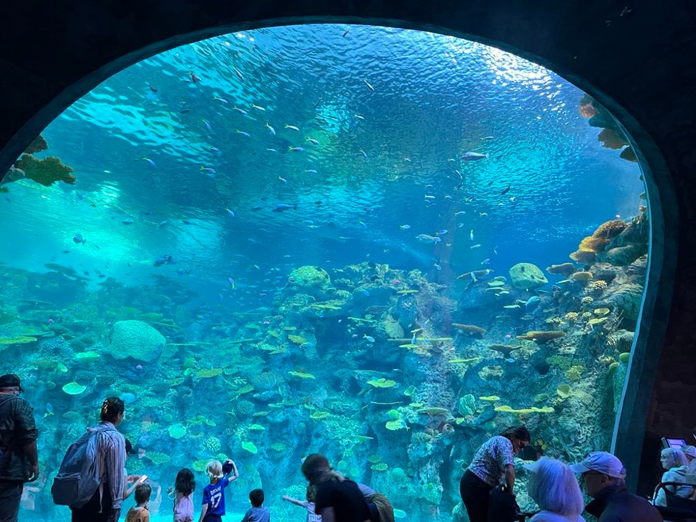 Seattle Aquarium