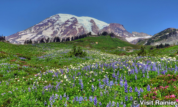 Mount Rainier